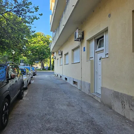 Cvita * Zára